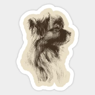 Yorkshire lovely dog pet Sticker